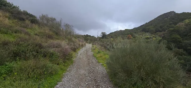 Terreno para construir en Alhaurín el Grande con vistas al m - foto 3