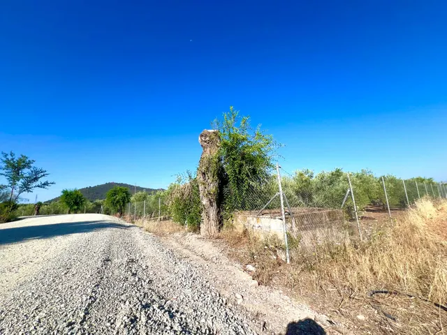 ALBOLOTE - PANTANO CUBILLAS — 19