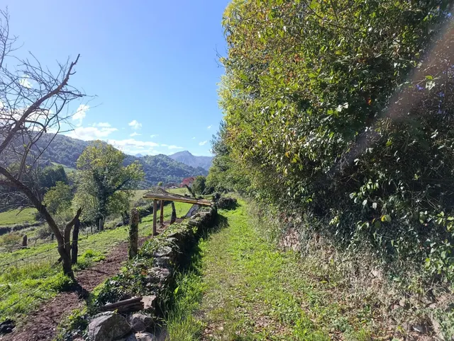 Terreno urbano en venta - Trubia — 48