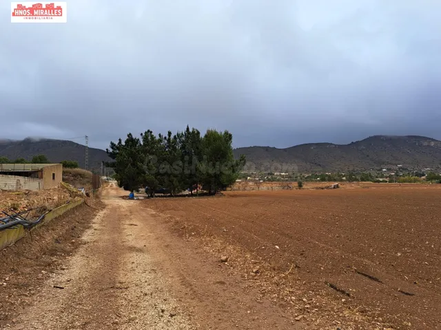 VENTA CASA CON TERRENO EN HONDON DE LAS NIEVES — 3