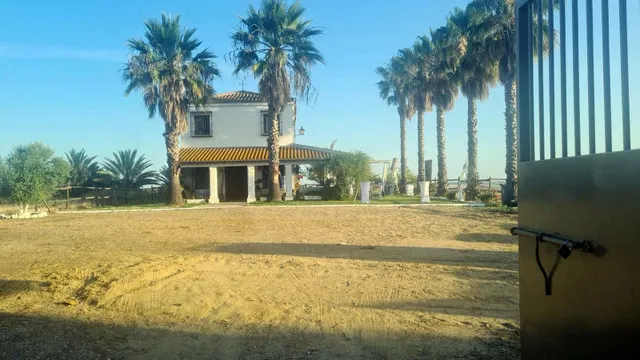 Espectacular finca de 19.000 m2 con 2 casas en Moguer (Huelva) — 6