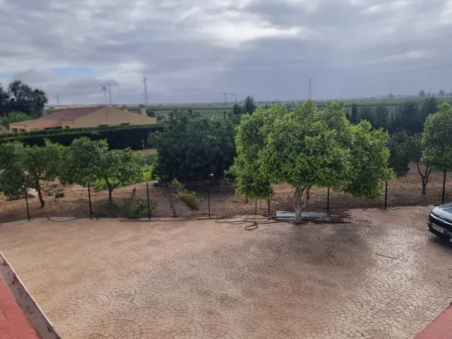 Finca rustica el pintado, Gibraleón — 28