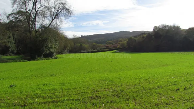 Venta de parcela rústica en Ruiloba - foto 5