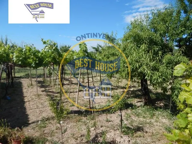 ¡OPORTUNIDAD! CHALET PRÓXIMO A LA POBLACIÓN DE ONTINYENT(VALENCIA) — 7