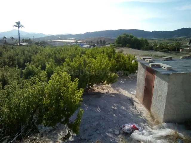SE VENDE PARCELA EN MOLINA DE SEGURA - foto 5