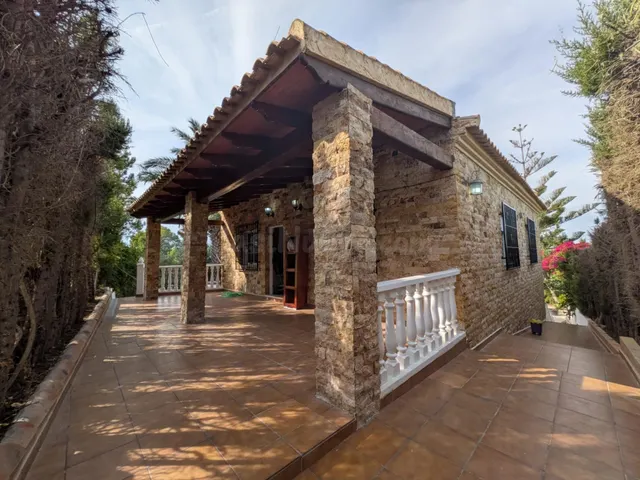 ESPECTACULAR FINCA CON CASA, PISCINA PRIVADA Y PLANTACIÓN DE - foto 3