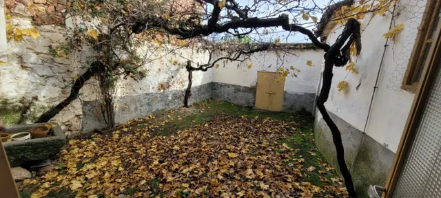 CASA EN VENTA EN PEDROCHE — 16