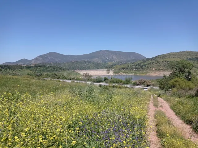 SE VENDE TERRENO EN ZAHARA DE LA SIERRA