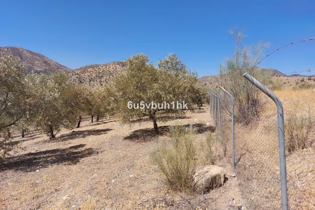Parcela en venta - Alora pueblo — 9