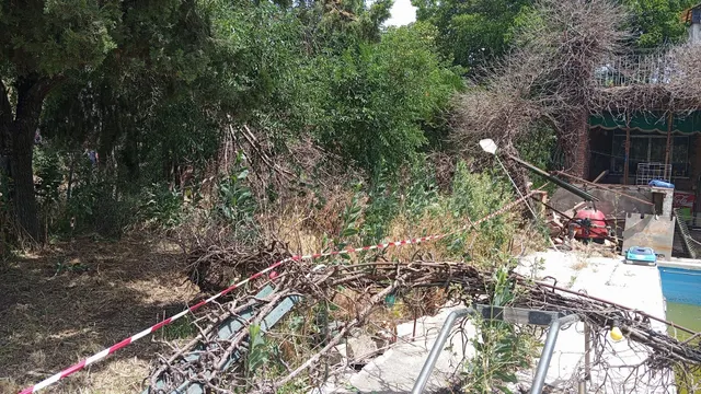 Exclusiva propiedad de 2.012 m2 en santa clara | tres fincas registrales en una de las mejores zonas de Sevilla — 24