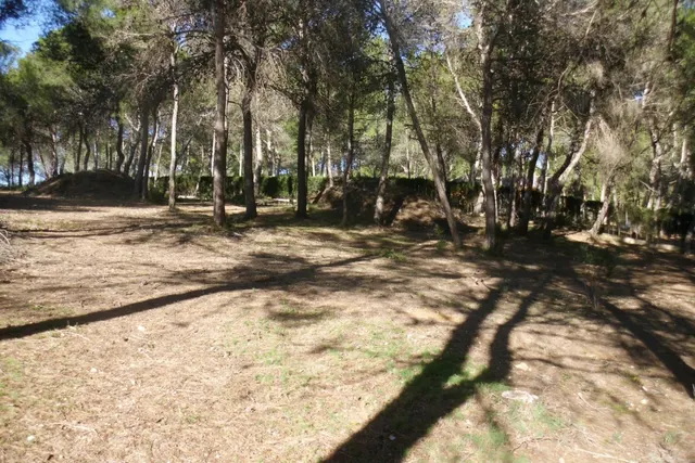 Terreno en Garrofer de L'Hora - Ontinyent — 3