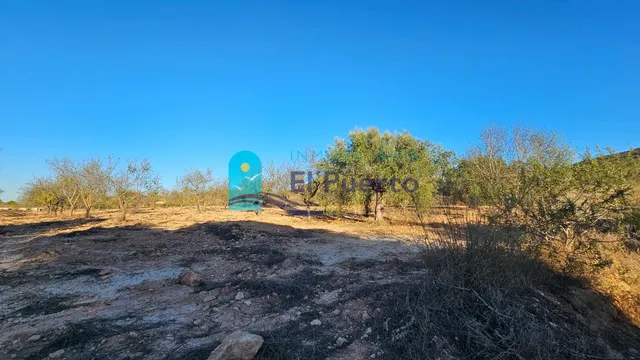 GRAN TERRENO JUNTO A LOS ALTOS DE LAS PALAS – REF. 2112 — 21