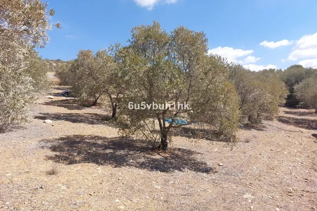 Parcela en venta - Alora pueblo — 18