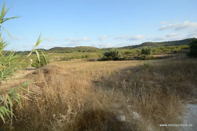 Terreno rústico de secano en la pedanía de Torremendo, Orihuela. 17.000 m2. de superficie. — 11