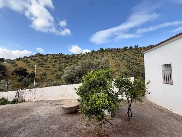 Finca rústica de 26 ha con 3.000 olivos ecológicos, cortijos y alta producción. — 21