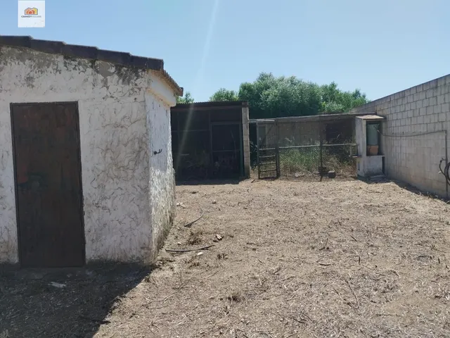 Campito en el pago del humo ideal para caballos — 8