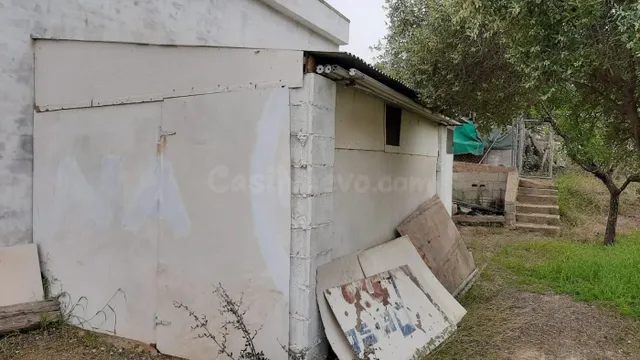 PARCELA RUSTICA EN EL REBOLLEDO — 2