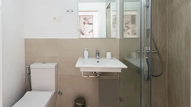 Ático Dúplex 3 habitaciones 213m² en venta - Centro — 37