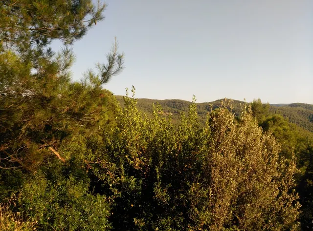 Espectacular terreno que da a dos calles, en Corbera de Llobregat, cerca Hotel Can Fisa. — 38
