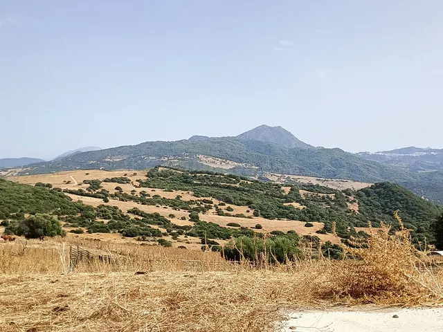 Finca Agrícola 800m² en venta - Riviera del sol — 4