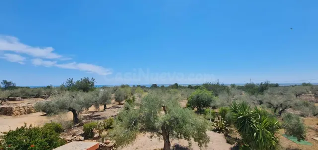 Finca ecológica de 30.000 m2 con casa, vistas al mar y total - foto 2