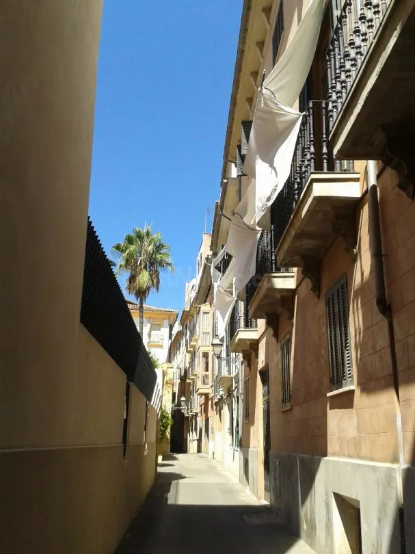 Piso duplex en planta entresuelo y semisòtano en casa señori