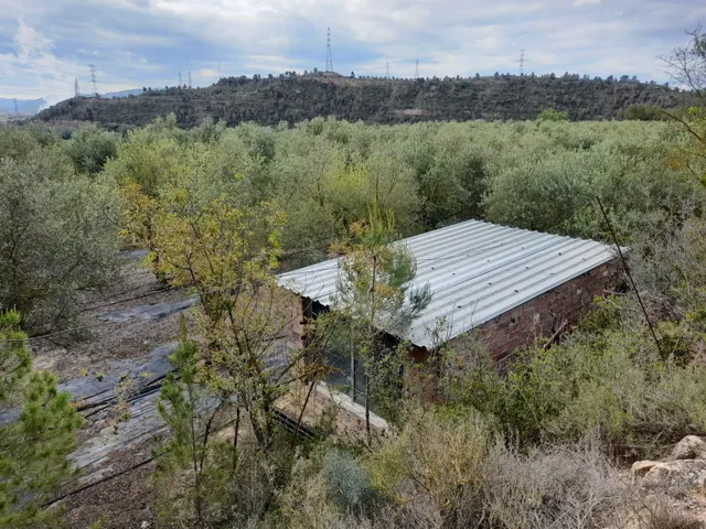 OPORTUNIDAD FINCA RUSTICA DE REGADIO CON CASA DE CAMPO EQUIPADA EN ASCO — 13