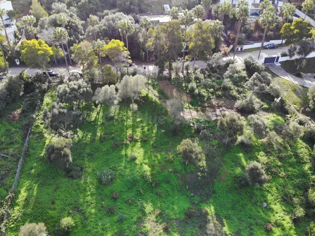 Parcela en venta - Sotogrande - Alto - foto 3