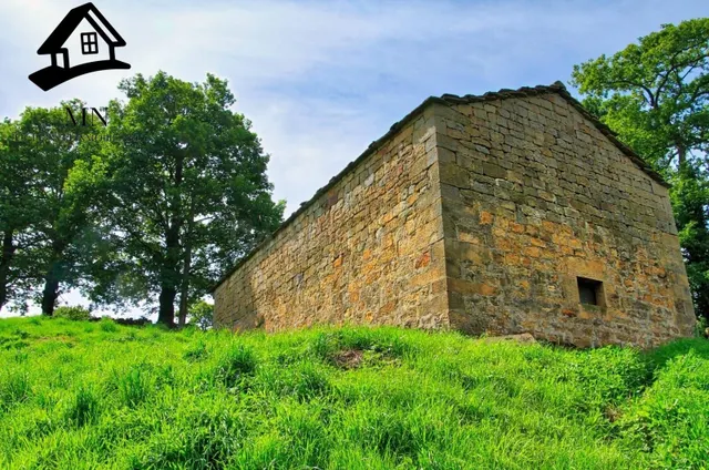 CABAÑA CON FINCA DE 10.000M2 EN LUENA - foto 4