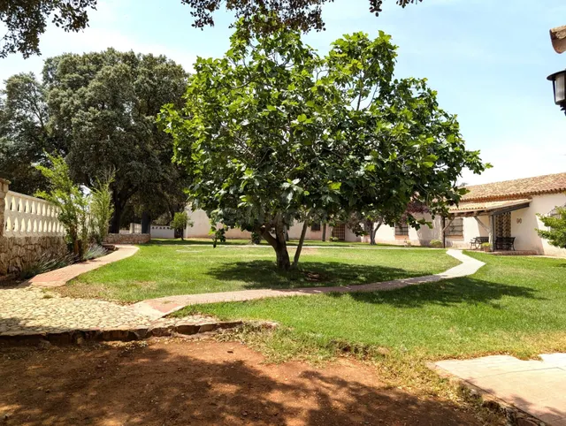 Magnífica Finca de 1.445 Has en rentabilidad a la venta. - foto 4