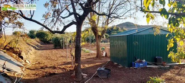 Finca de regadío con casita agrícola en los alrededores de J - foto 4