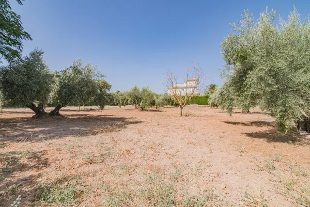 ¡Oportunidad Única! Se Vende Magnífica Casa en Esquina con Amplia Parcela — 45