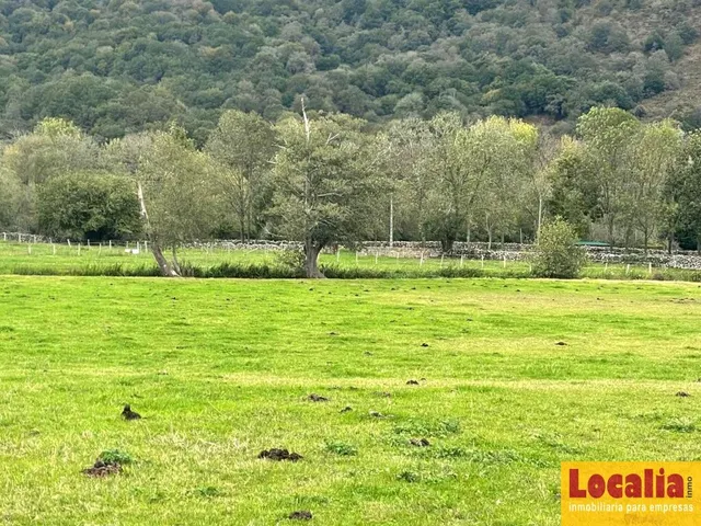 Interesante suelo urbano de 8 mil m² en Ruente - foto 5