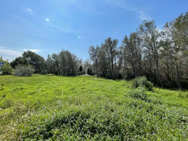 SUELO URBANIZABLE EN PLANA ESPANYOL. MONT-ROIG DEL CAMP (TAR - foto 3