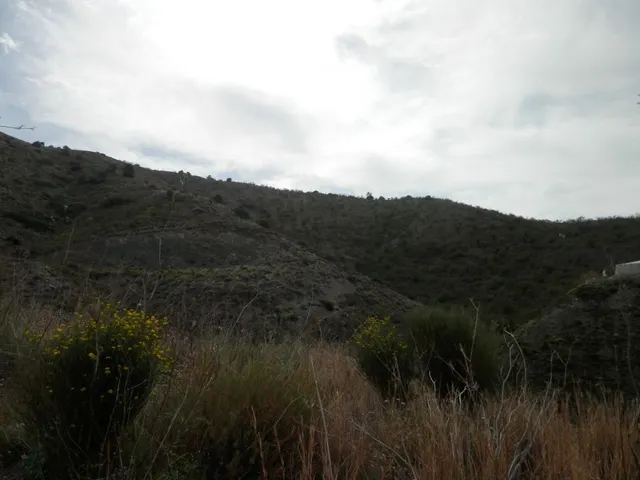CASTELL DE FERRO — 8