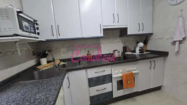 Casa 7 habitaciones 360m² en venta - Alcolea - foto 4