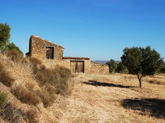 Suelo rústico en Venta en Maella Zaragoza — 2