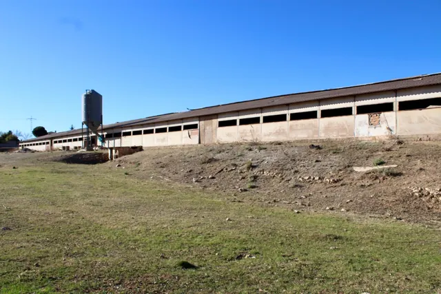 PADUL - FINCA RUSTICA