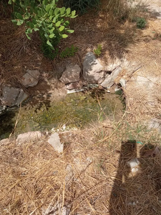 Parcela Rústica de 3.700m2 con Agua de Riego a 4,5 km de Mutxamel y a 9 km de la Playa — 12