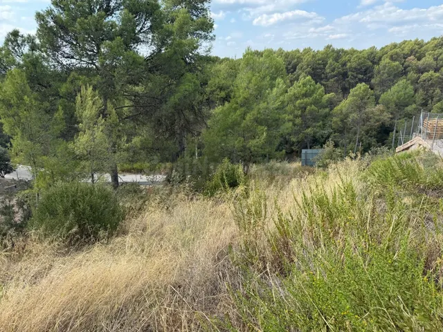 TERRENO EDIFICABLE EN SANTPEDOR - foto 2