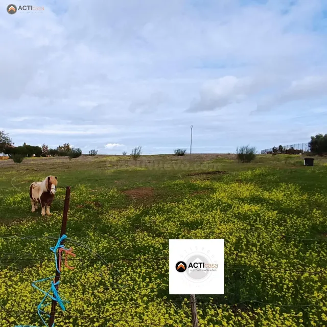 TERRENO EN VENTA ENTRE SIERRA DE FUENTES Y TORREORGAZ. - foto 3