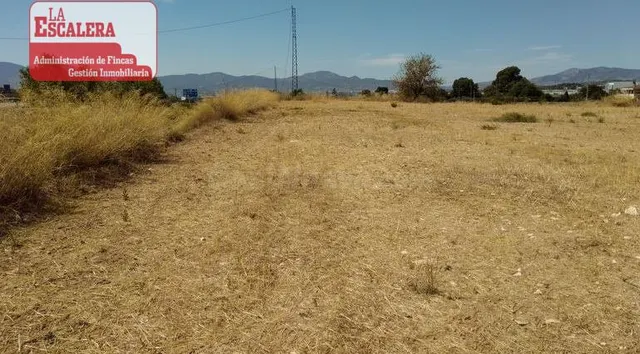 Parcela rústica en Ibi para alquilar. Dispone de pozo y dere - foto 4