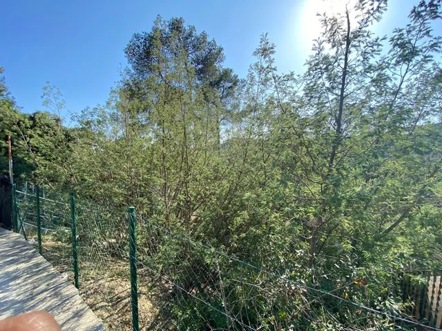 SE VENDE TERRENO URBANO EN SANT CUGAT, ZONA LA FLORESTA — 5