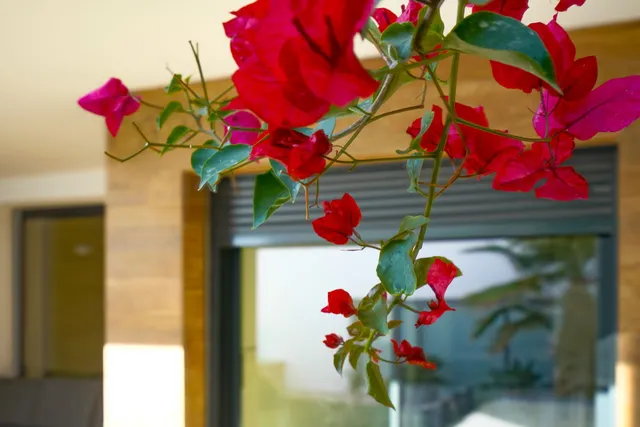 Apartamento 2 habitaciones 148m² en venta - CUMBRES DEL SOL — 25