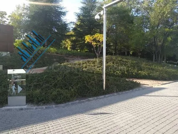RAYMU Vende - foto 5