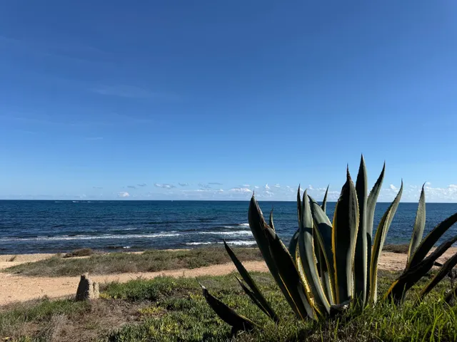 Apartamento 2 habitaciones 50m² en venta - Eliseos playa — 19
