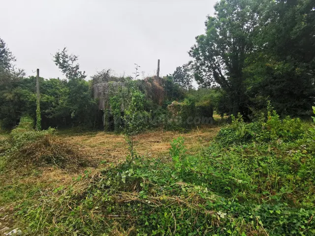 Casa para restaurar con 3000 metros de terreno - foto 5
