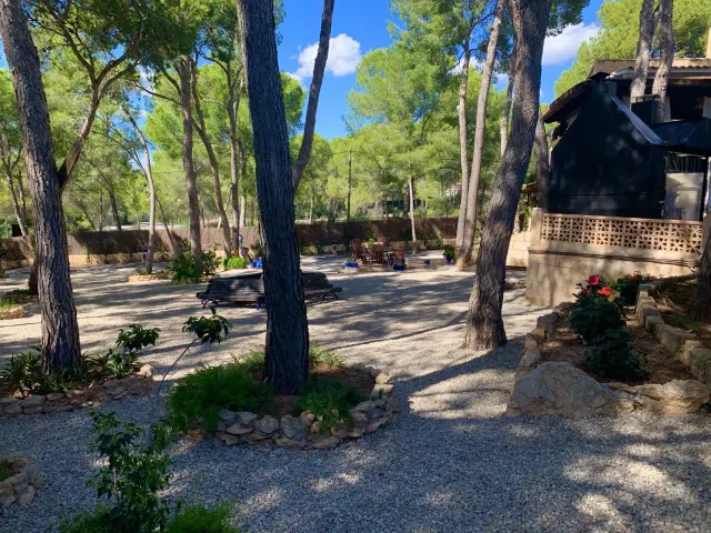 Villa de estilo mallorquín con amplio jardín de pinos en Cala Vinyes — 6