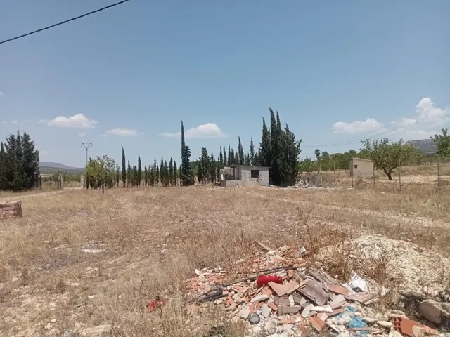 Campo en monovar — 9