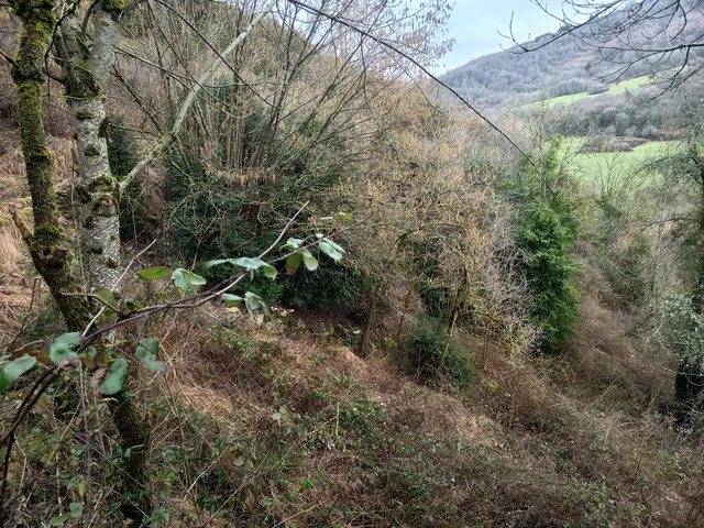 Terreno Orbaizeta — 7